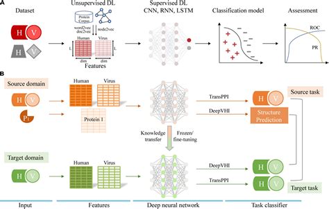 Prediction of Protein–Protein Interaction as Carcinogenic Using .